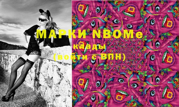 спиды Верея