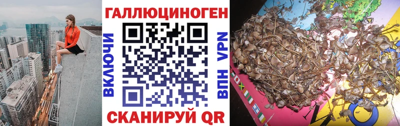 Галлюциногенные грибы Psilocybine cubensis  наркота  Якутск 